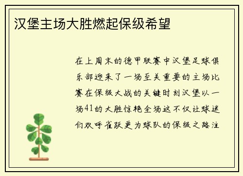 汉堡主场大胜燃起保级希望