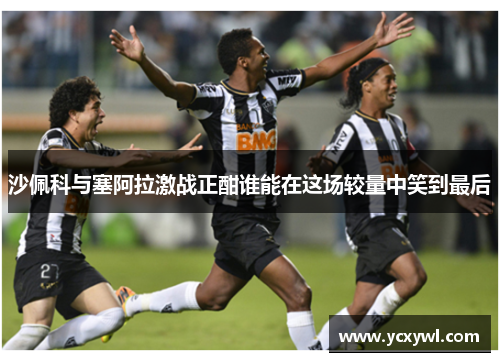 沙佩科与塞阿拉激战正酣谁能在这场较量中笑到最后